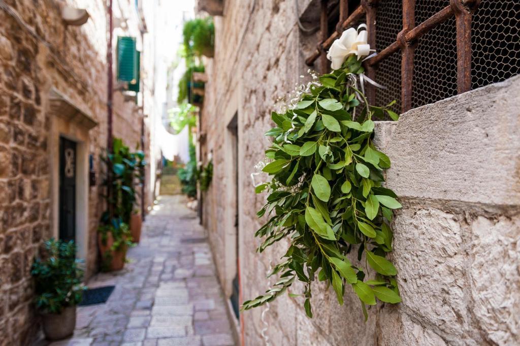 Angelus Apartments Dubrovnik Extérieur photo